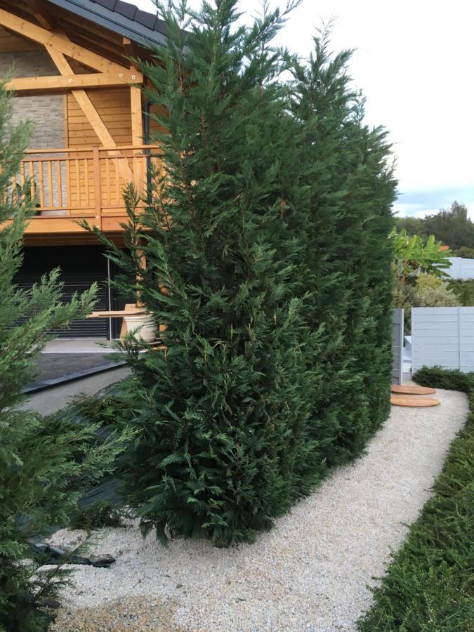 Chalet A La Campagne Coise-Saint-Jean-Pied-Gauthier Exterior photo