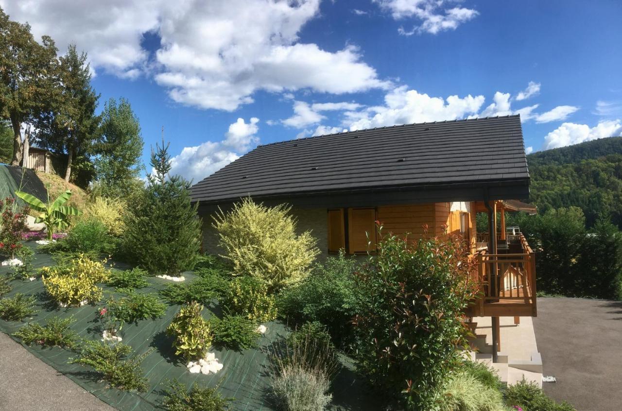 Chalet A La Campagne Coise-Saint-Jean-Pied-Gauthier Exterior photo