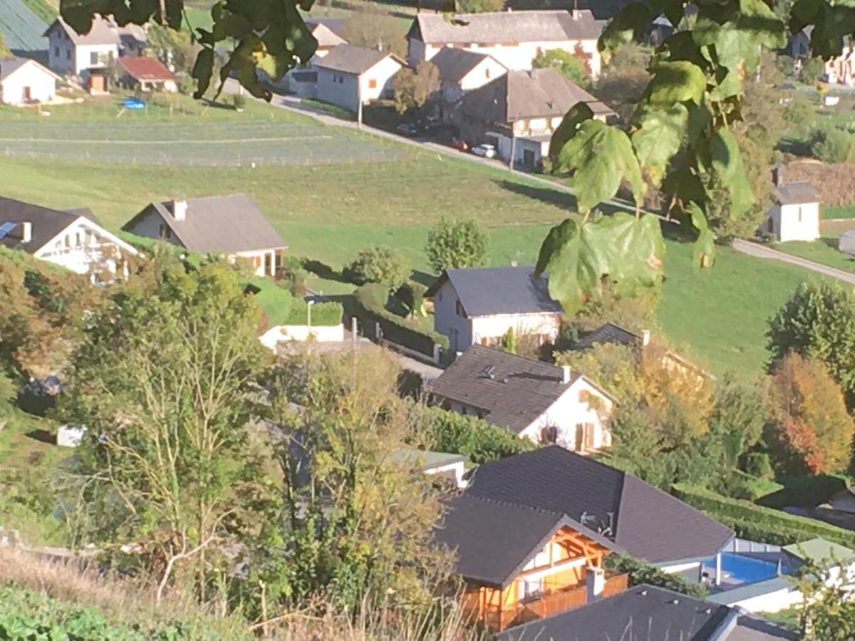 Chalet A La Campagne Coise-Saint-Jean-Pied-Gauthier Exterior photo